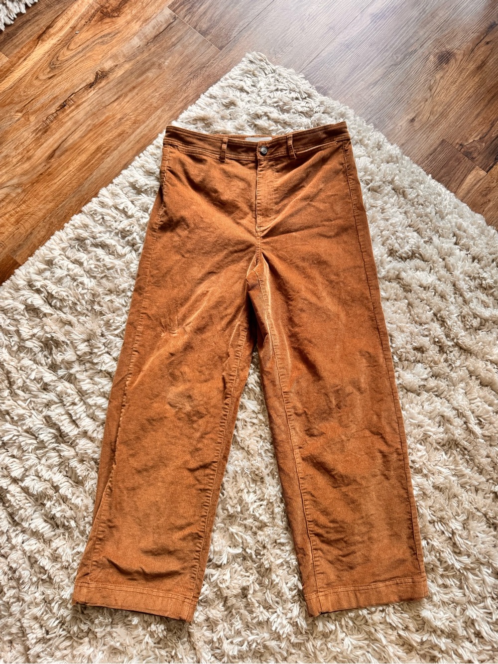 Everlane Corduroy Pants in Rust